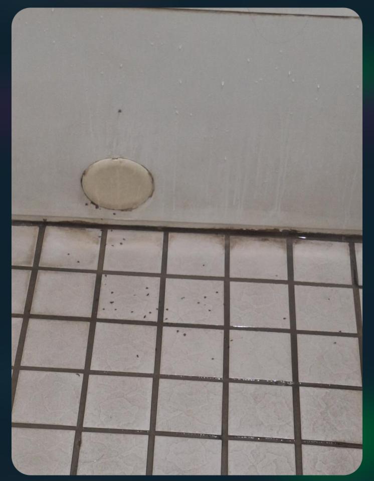 居家修繕案件圖片