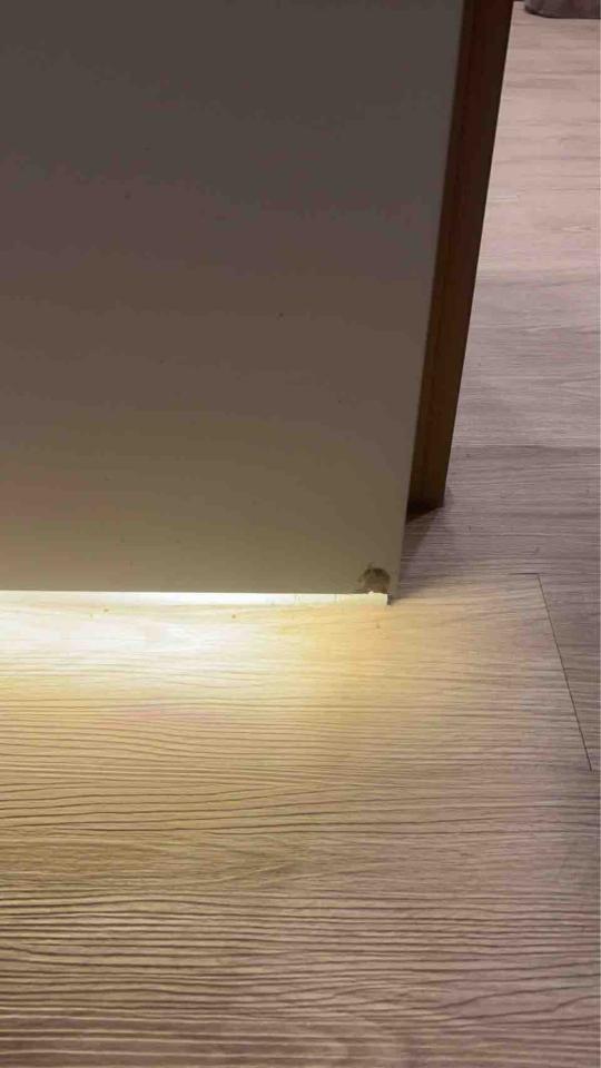 油漆工程案件圖片