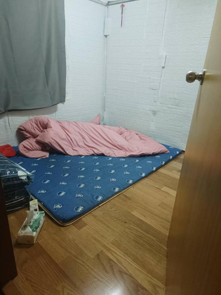 壁紙施工案件圖片