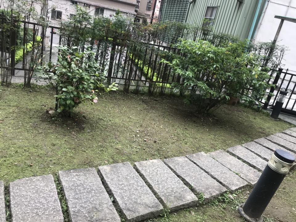園藝維護案件圖片