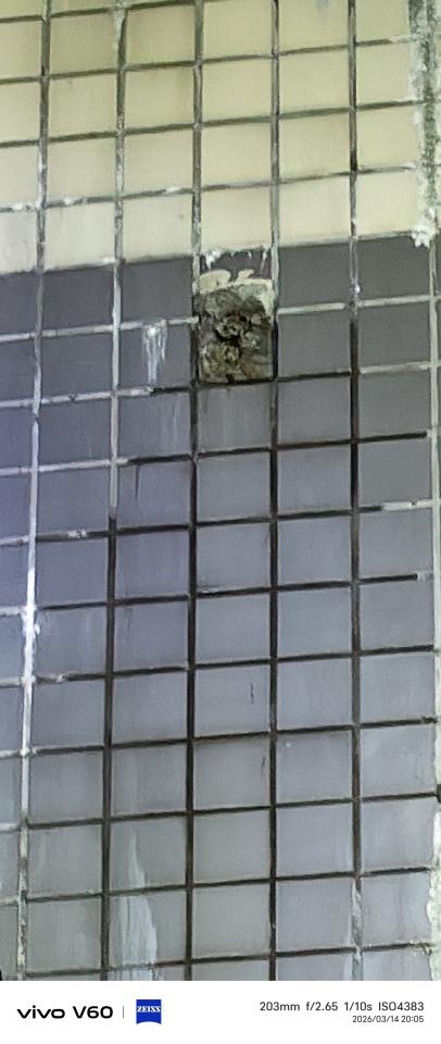 鷹架出租案件圖片