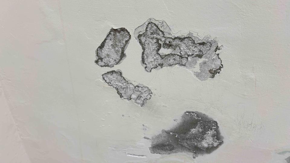 壁癌處理案件圖片