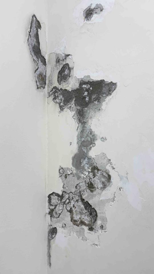 壁癌處理案件圖片