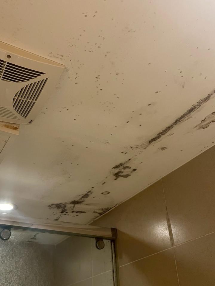 木工施工案件圖片