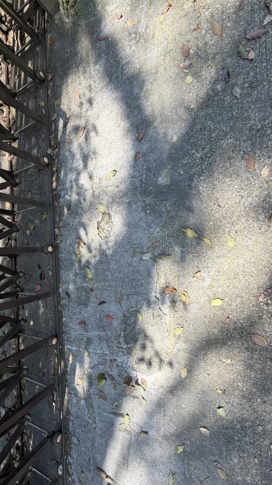 泥作/水泥施工案件圖片