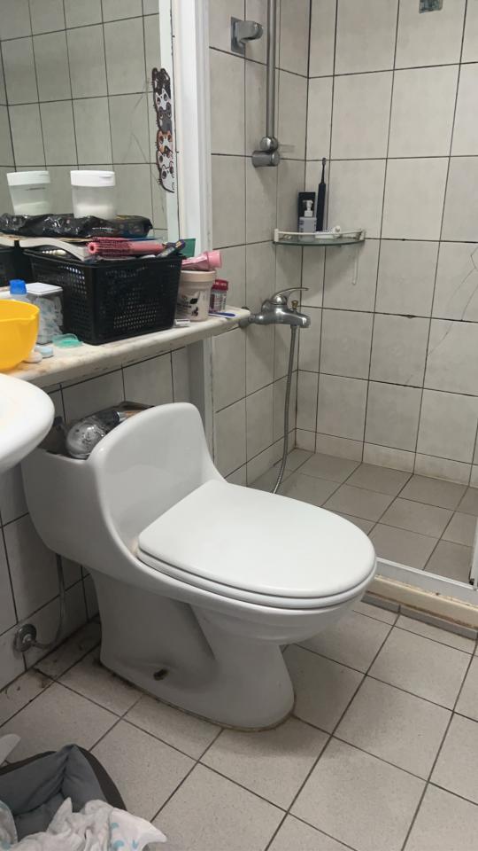 馬桶裝修案件圖片