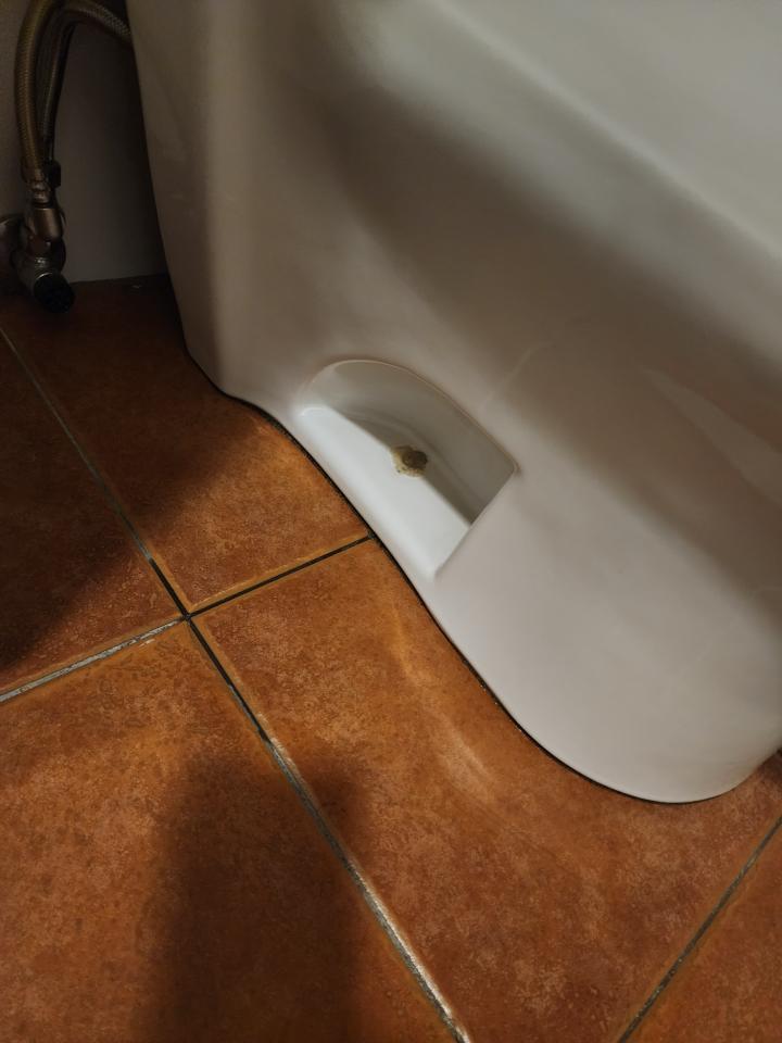 馬桶裝修案件圖片