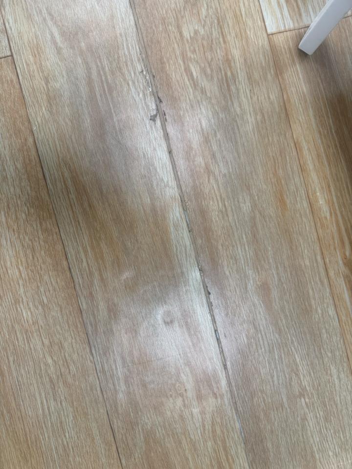 地板施工案件圖片