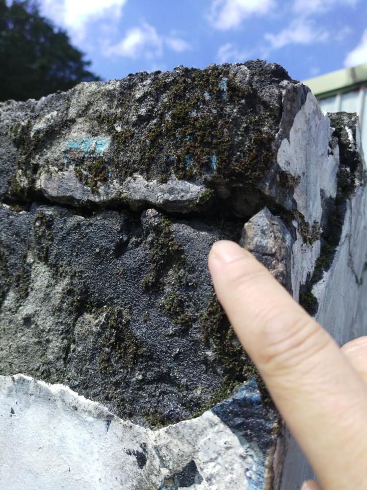 漏水處理案件圖片