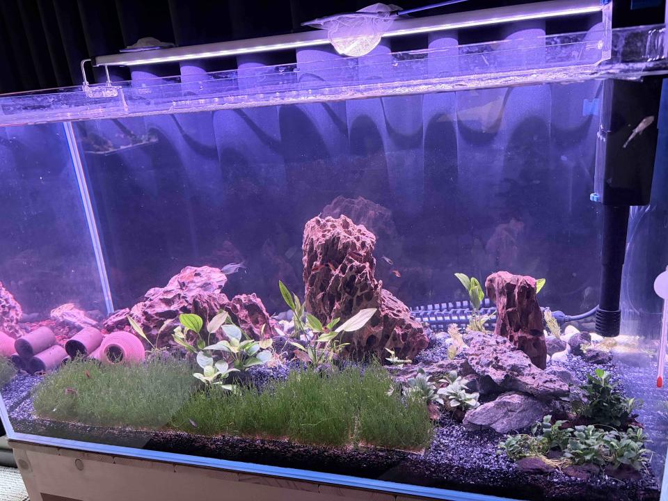 魚缸設計案件圖片