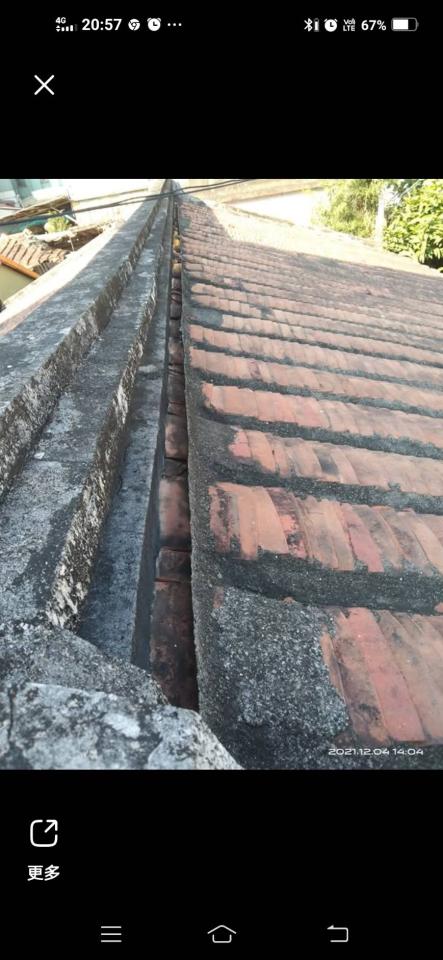 屋瓦翻修案件圖片