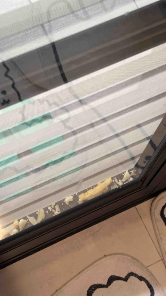 窗戶維修案件圖片
