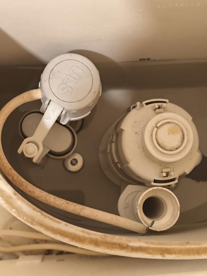 馬桶裝修案件圖片