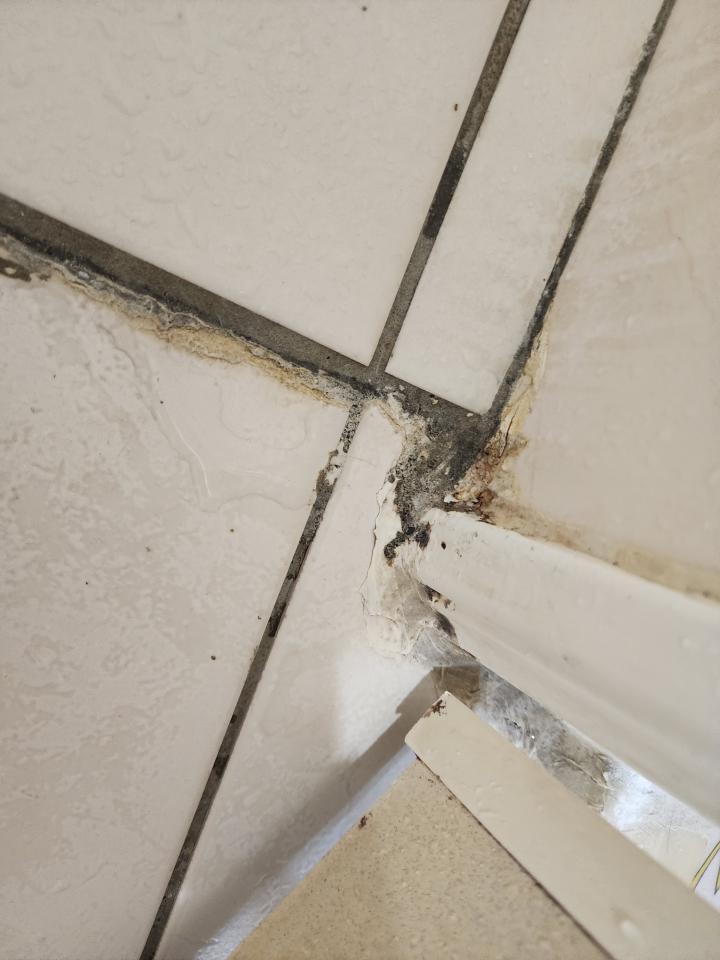 矽利康工程案件圖片