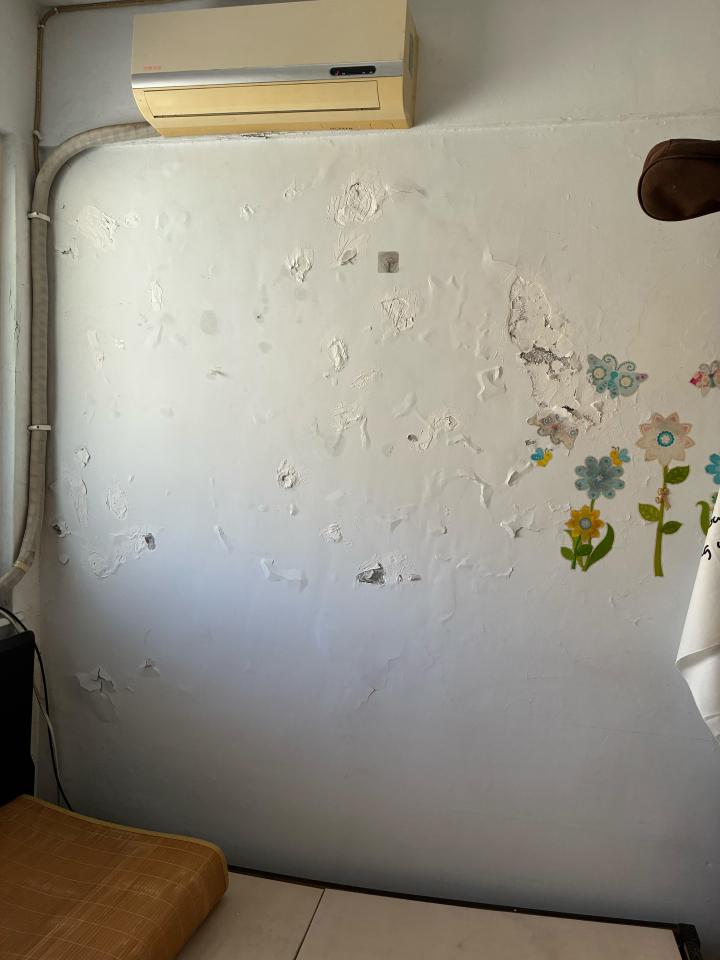 壁癌處理案件圖片