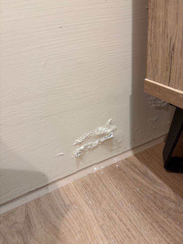 壁癌處理案件圖片