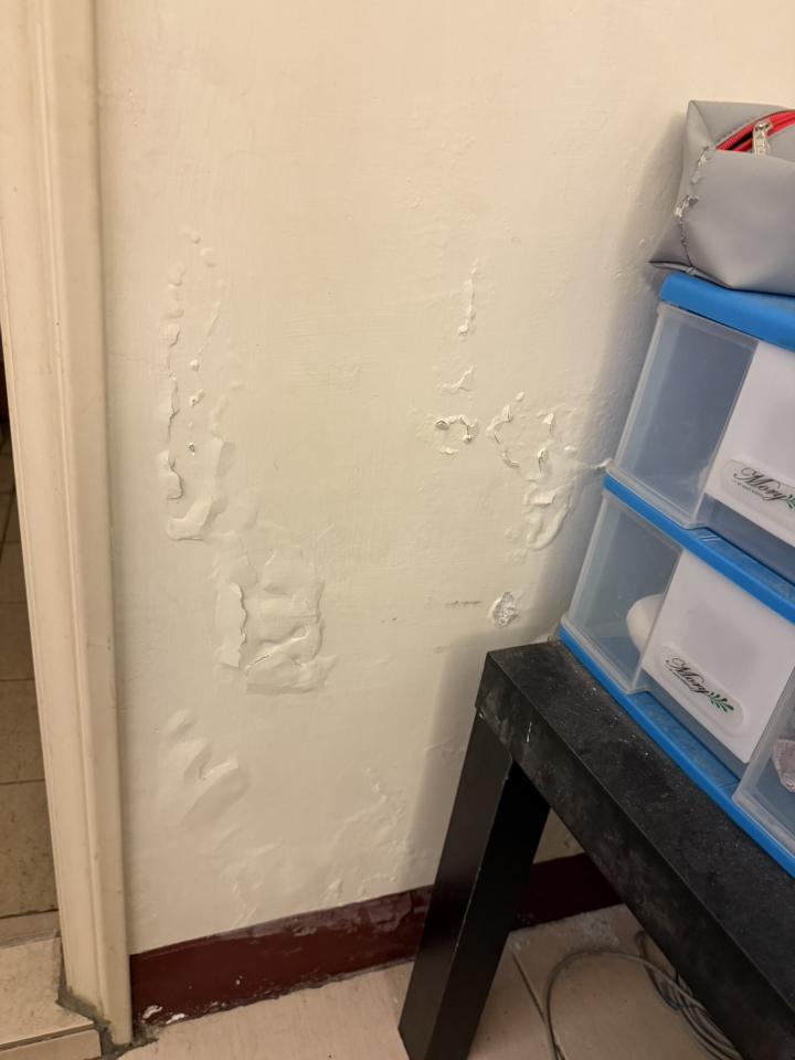 油漆工程案件圖片