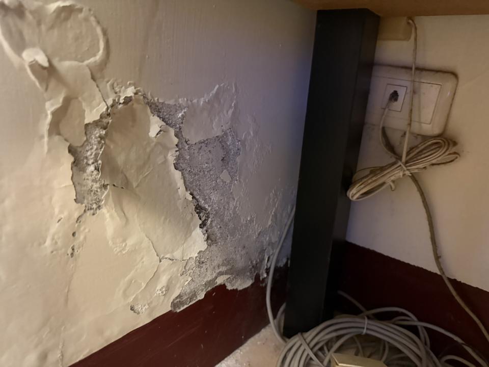 油漆工程案件圖片