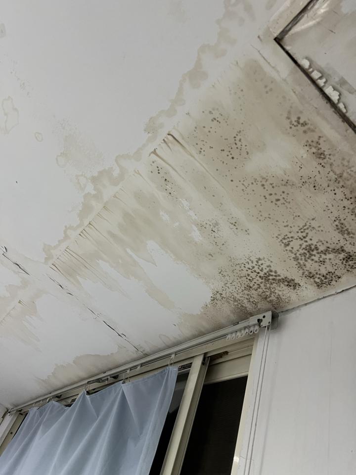 屋頂排水案件圖片