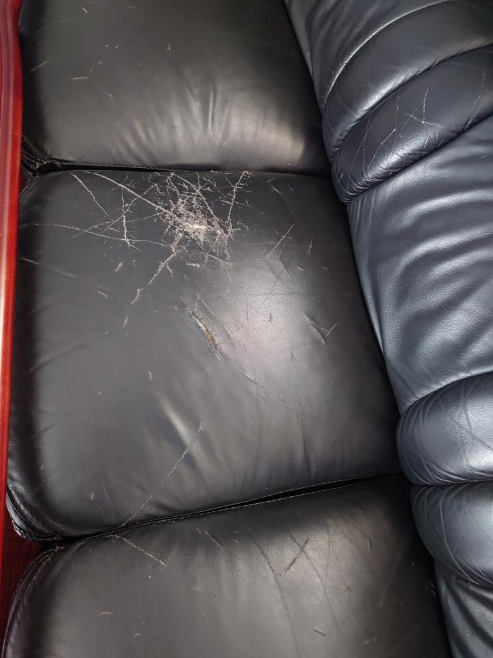 沙發修理案件圖片