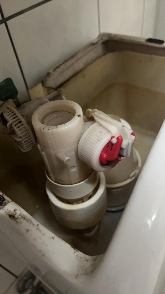 馬桶裝修案件圖片