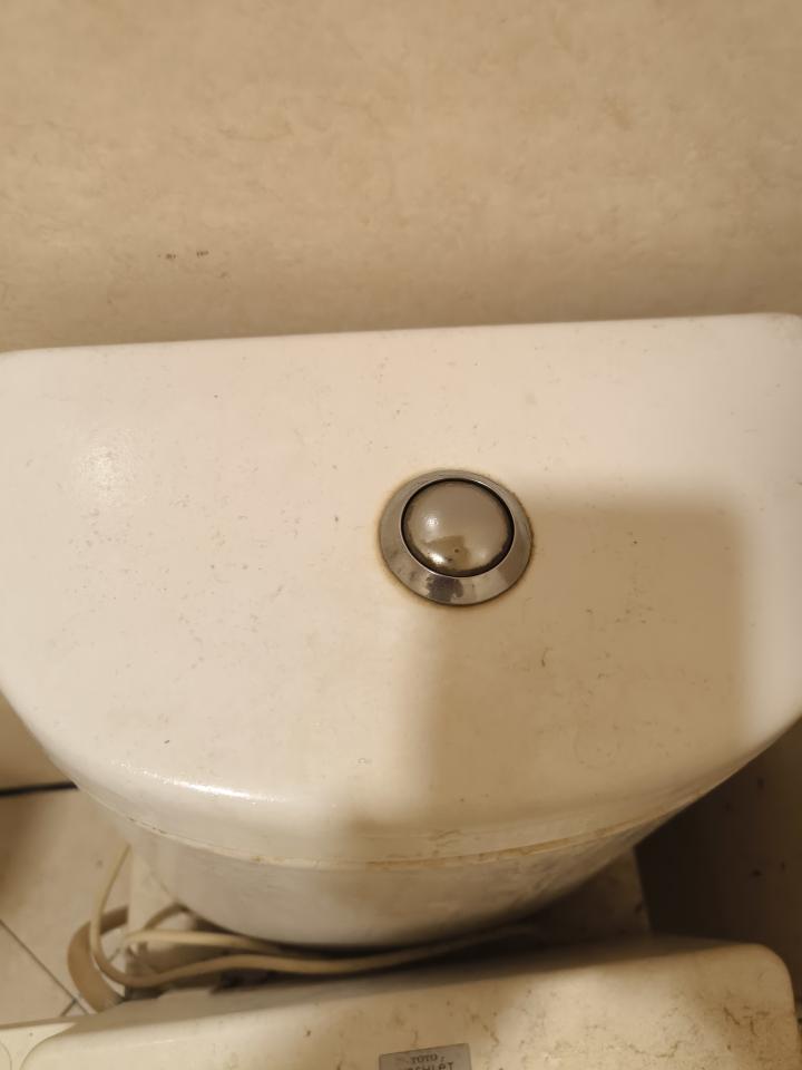 馬桶裝修案件圖片