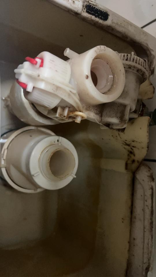 馬桶裝修案件圖片