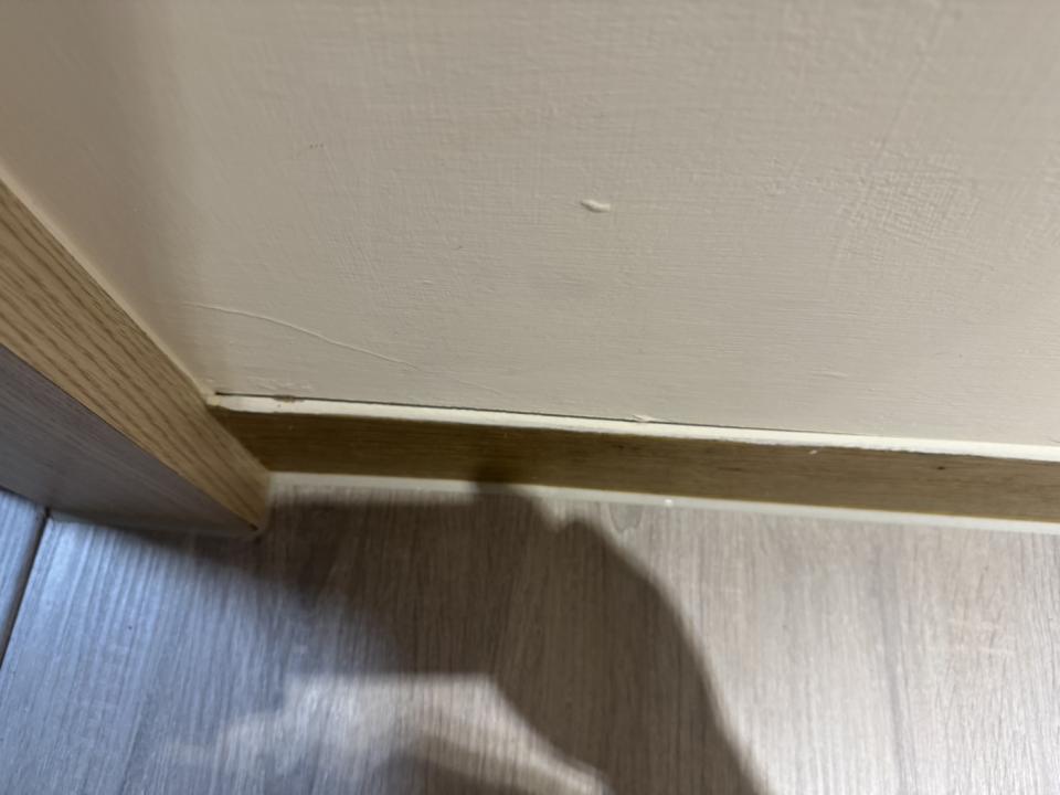 矽利康工程案件圖片