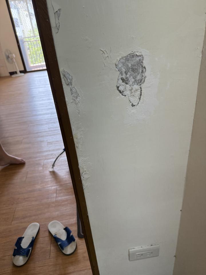 泥作/水泥施工案件圖片