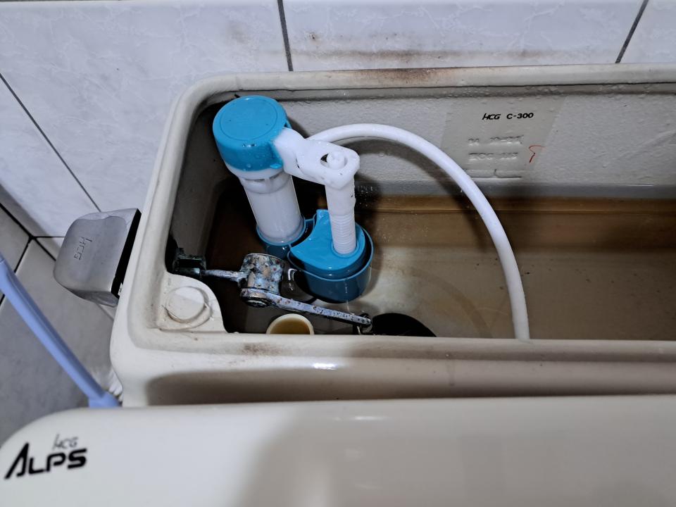 馬桶裝修案件圖片