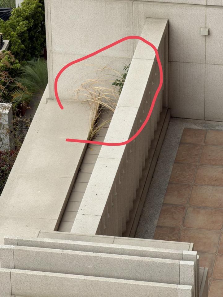 園藝維護案件圖片