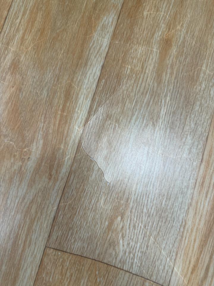 地板施工案件圖片