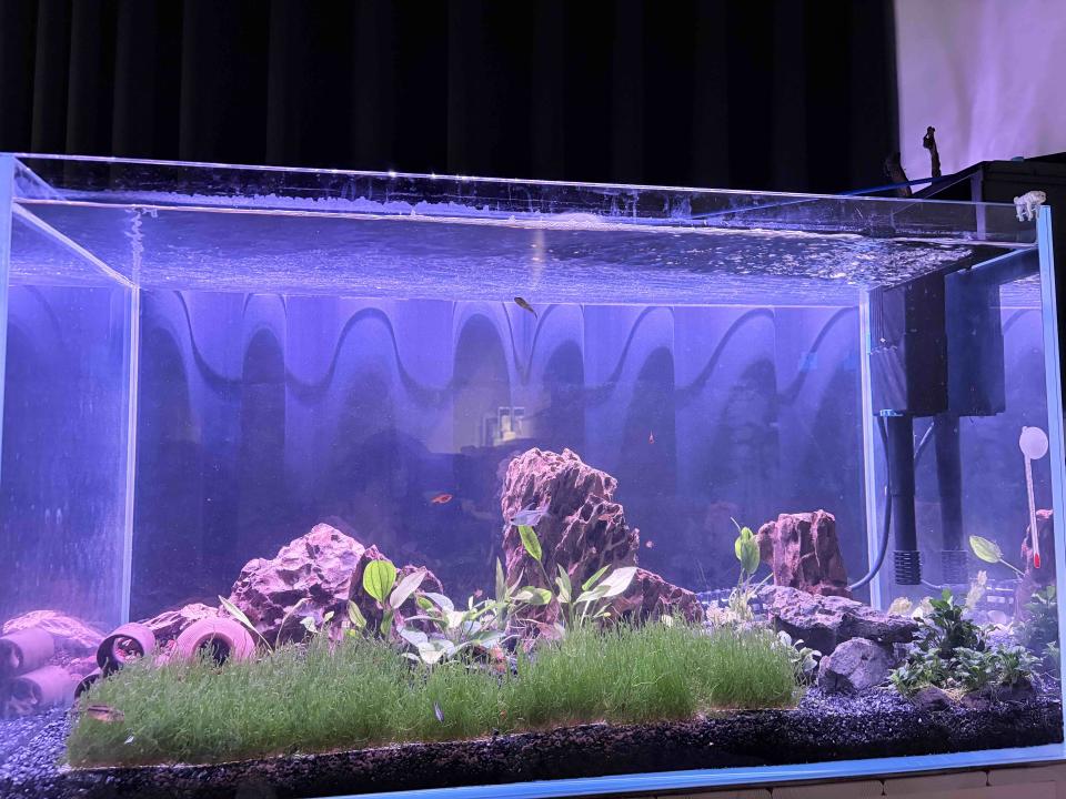 魚缸設計案件圖片