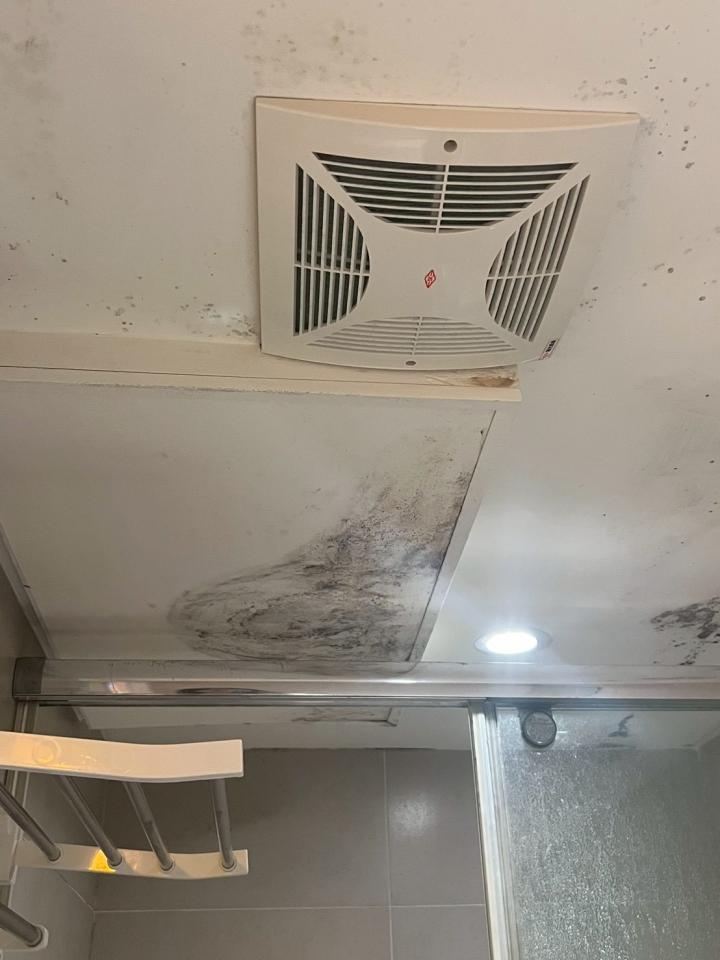 木工施工案件圖片