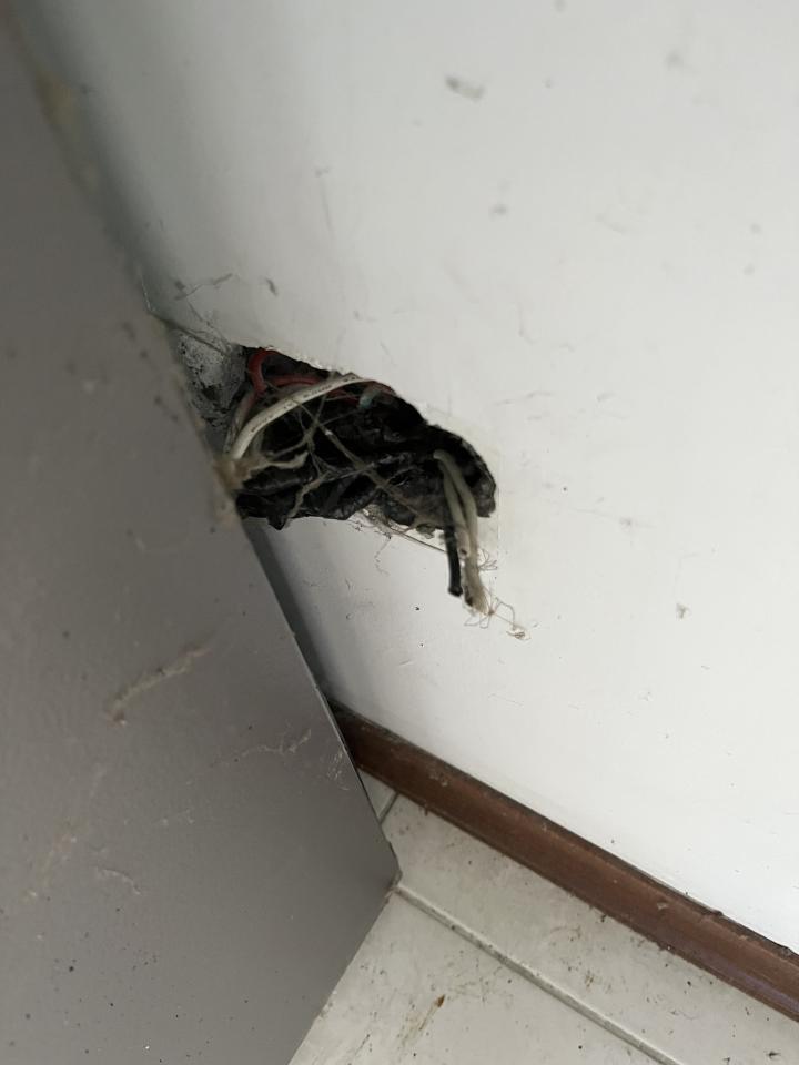 電線裝修案件圖片