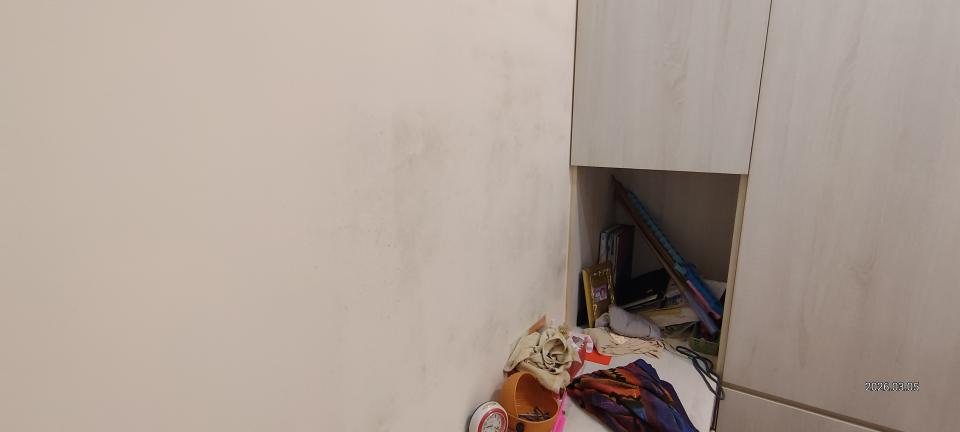 油漆工程案件圖片