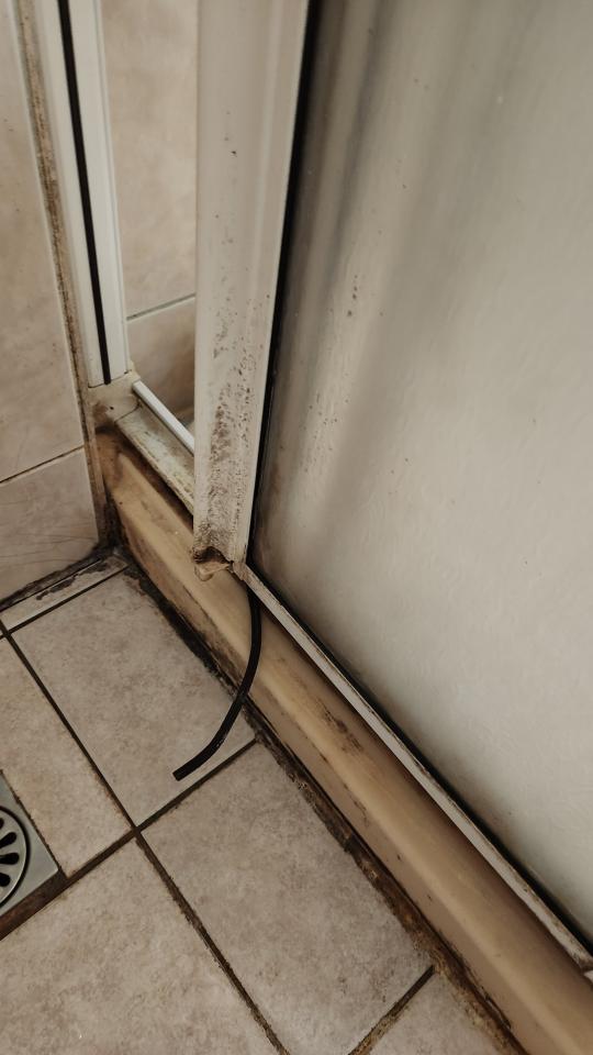 淋浴拉門安裝維修案件圖片