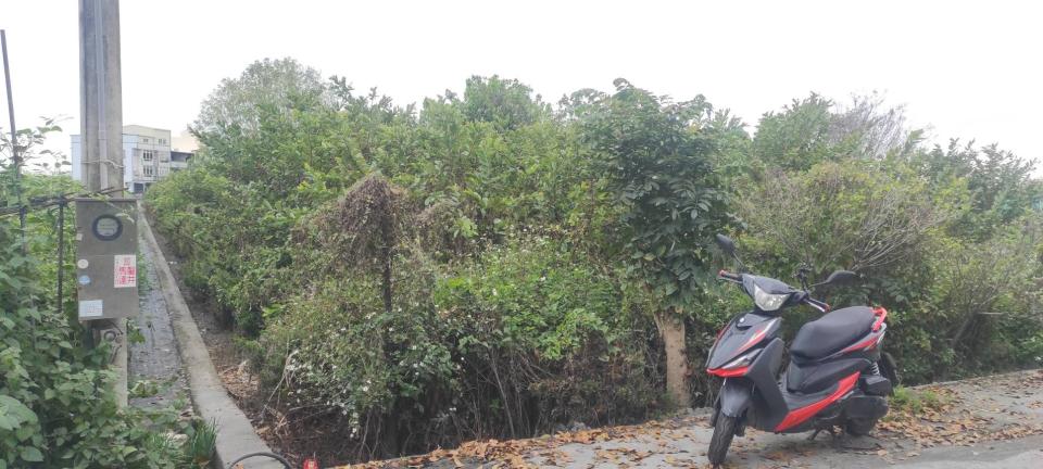 園藝設計案件圖片