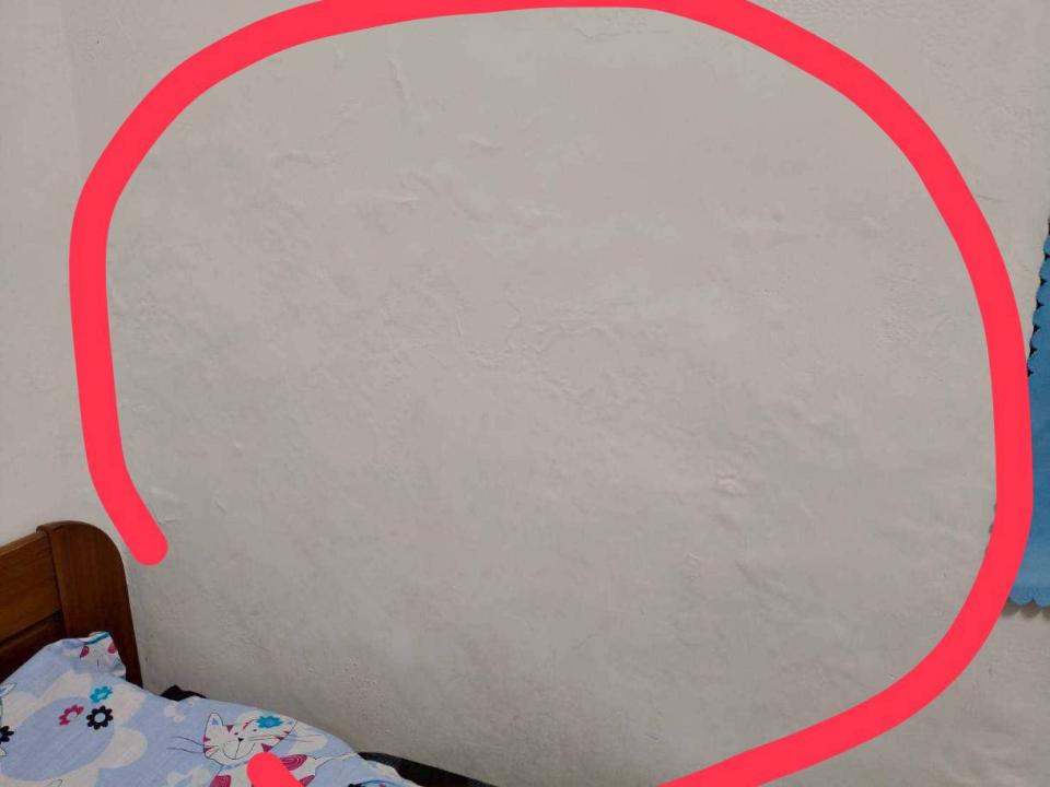 壁癌處理案件圖片