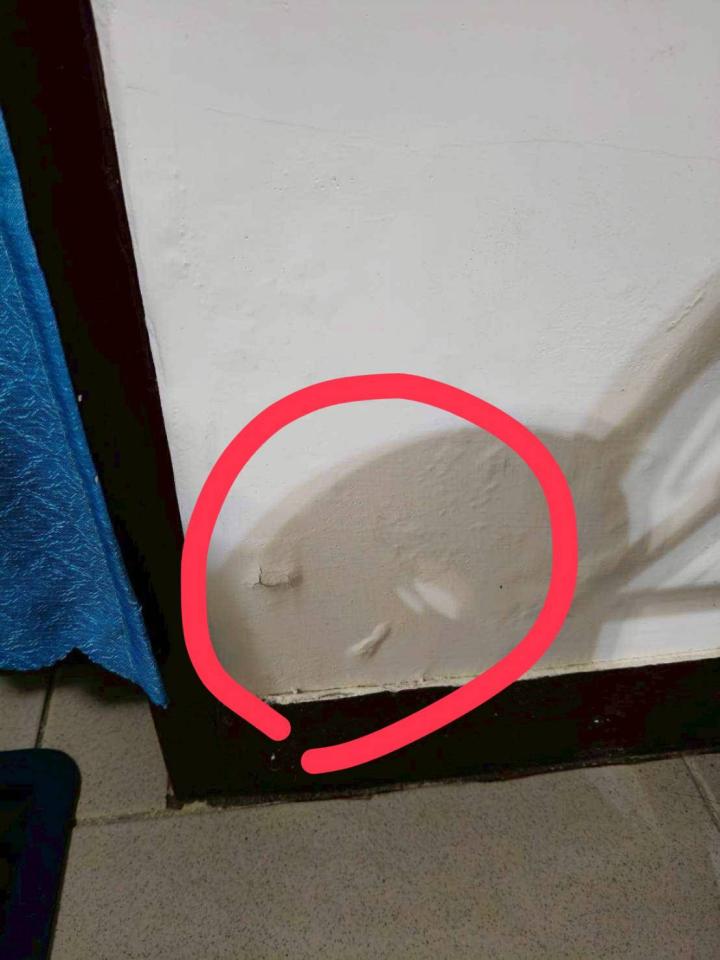 壁癌處理案件圖片