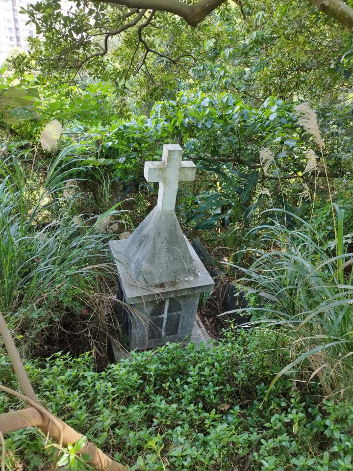 園藝維護案件圖片