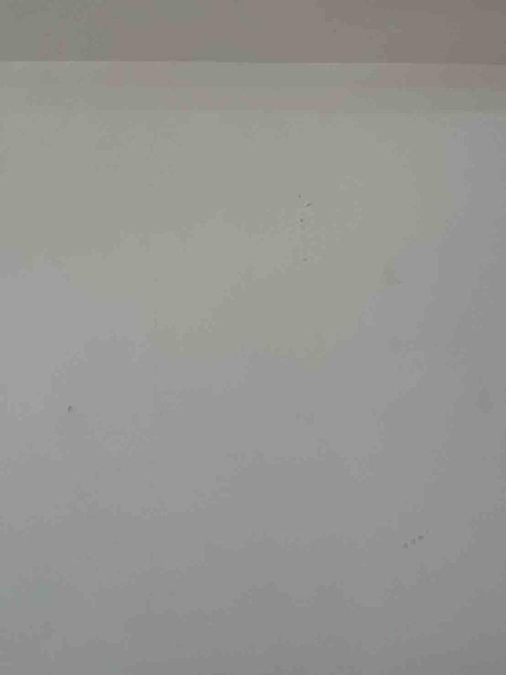 油漆工程案件圖片