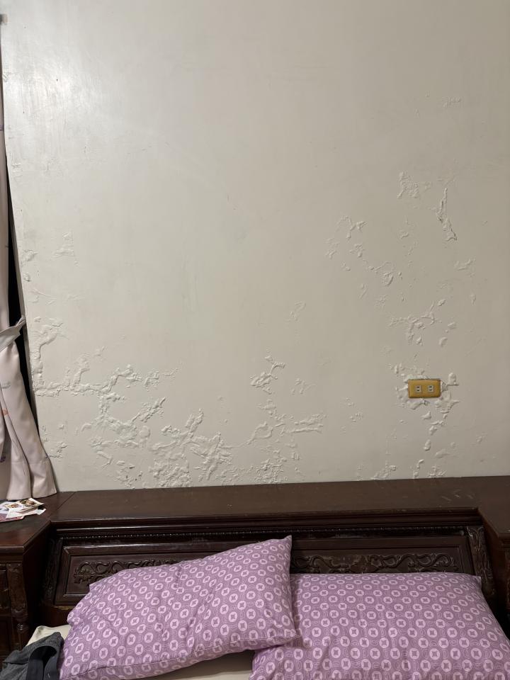 壁癌處理案件圖片