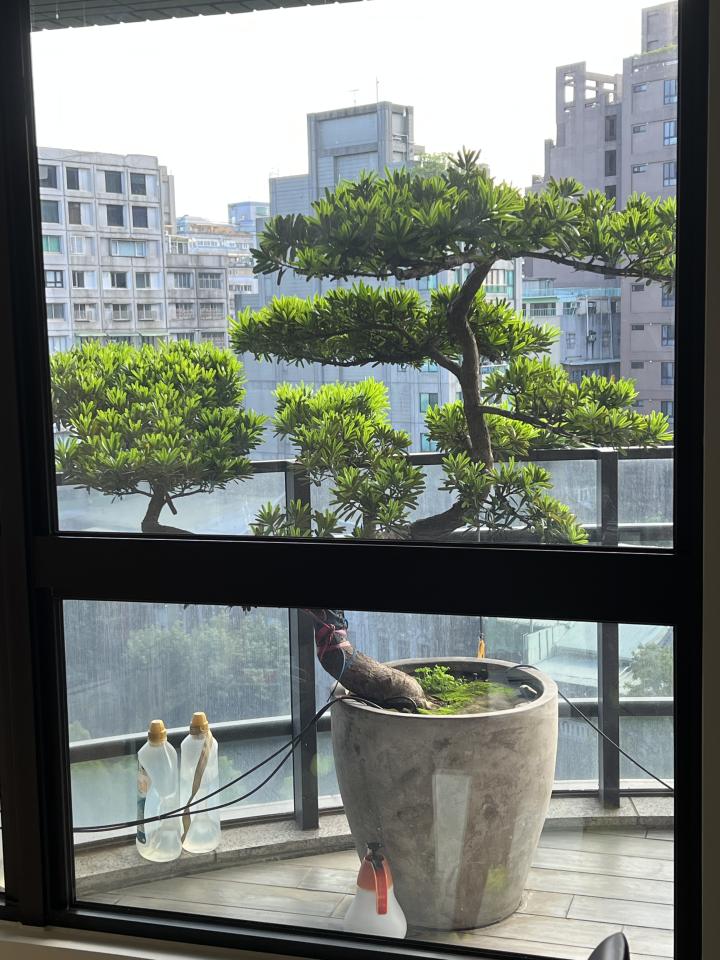 植物診療師案件圖片