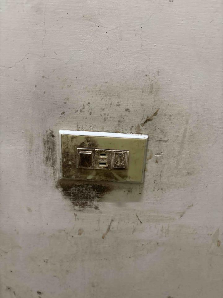 電線裝修案件圖片