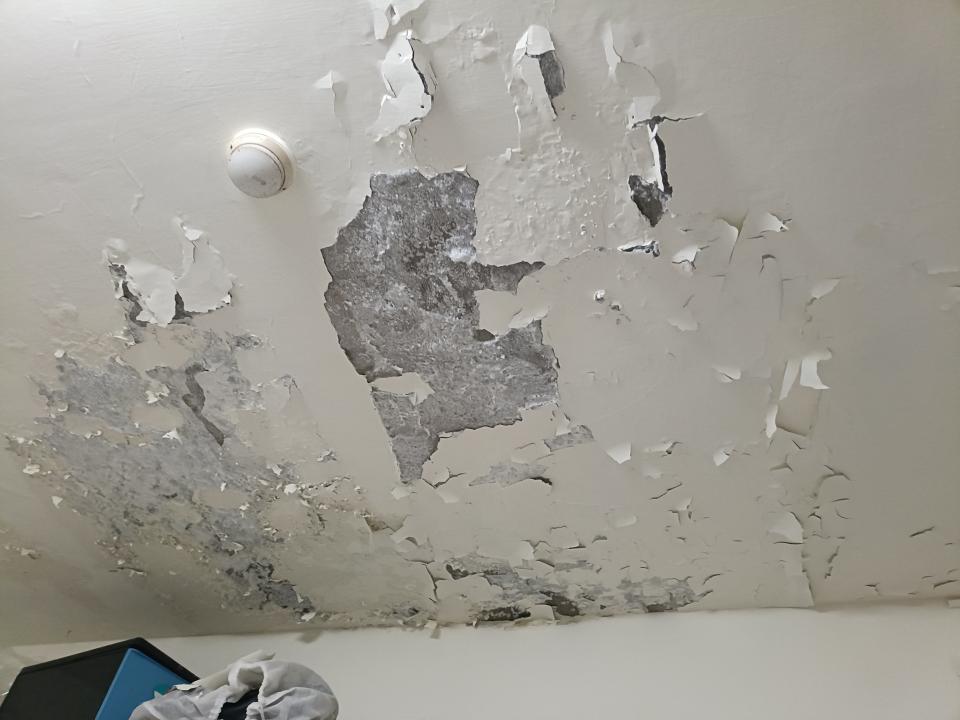 油漆工程案件圖片