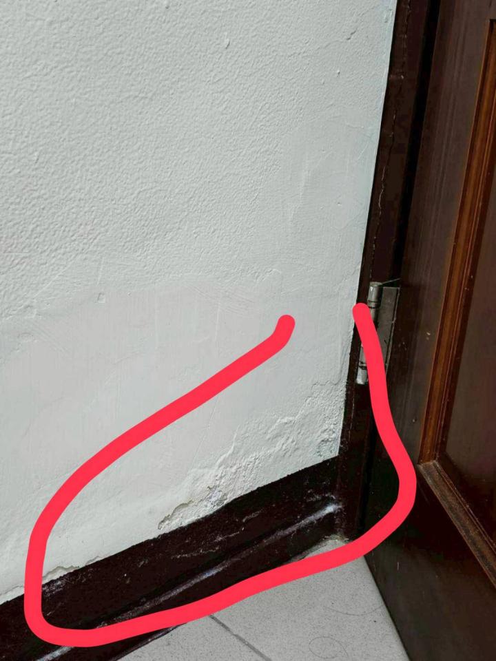 壁癌處理案件圖片