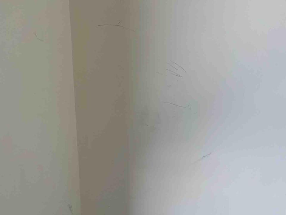 油漆工程案件圖片