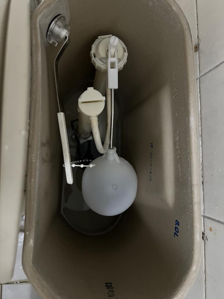 馬桶裝修案件圖片