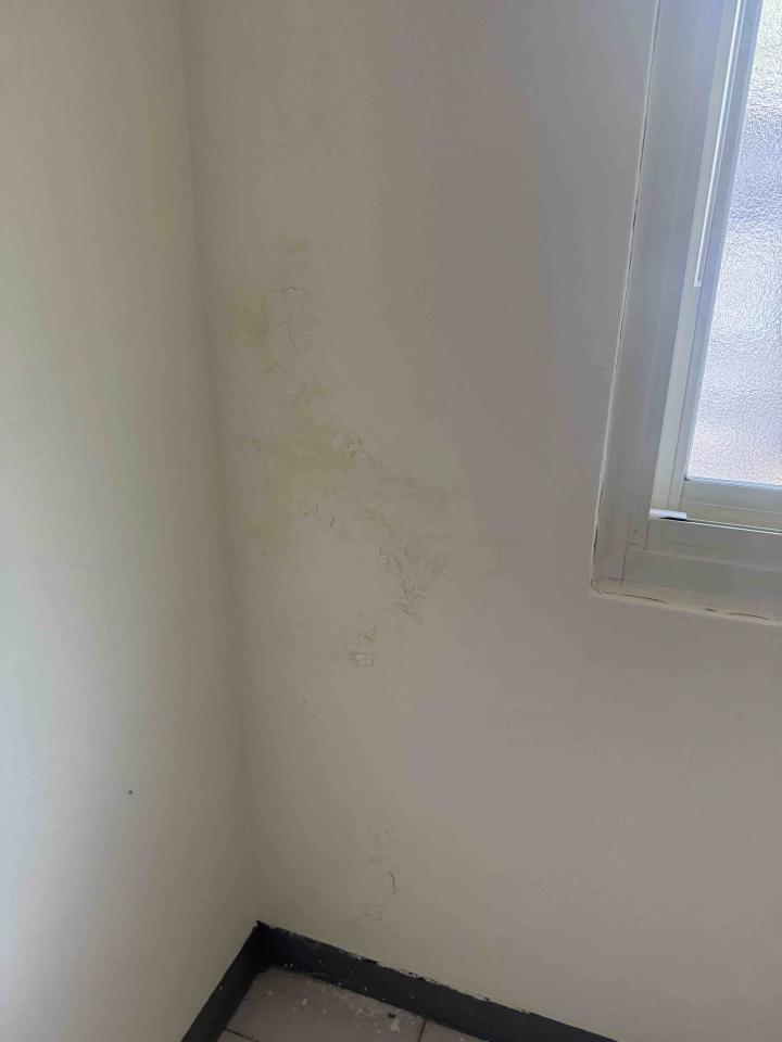 油漆工程案件圖片